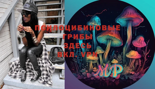 ECSTASY Алексин