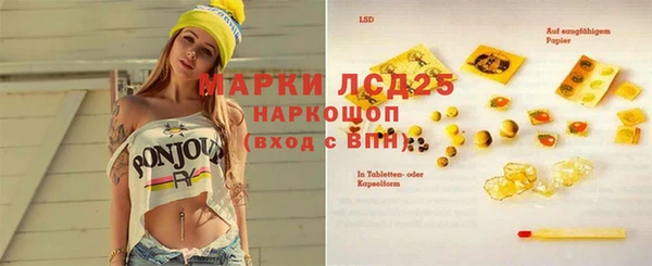 индика Алексеевка