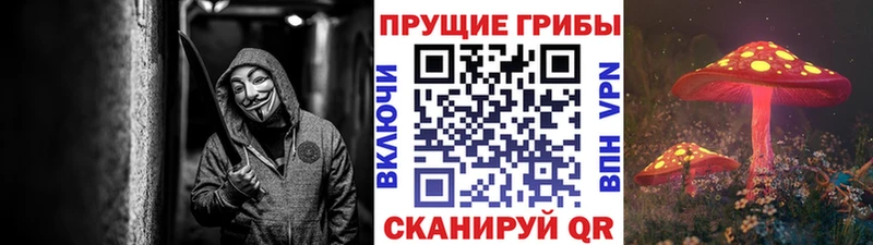 Галлюциногенные грибы GOLDEN TEACHER  купить  цена  мориарти клад  Юрьев-Польский 
